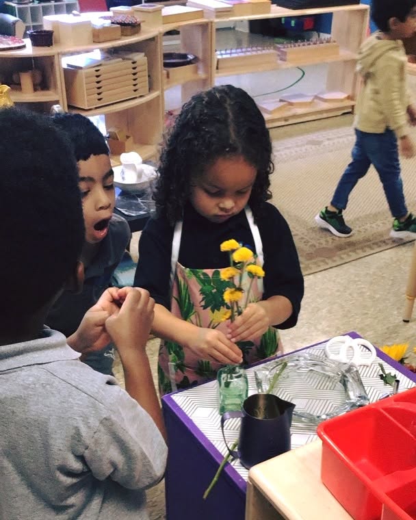 A Seven Oaks student arranges flowers in a vase during practical life work