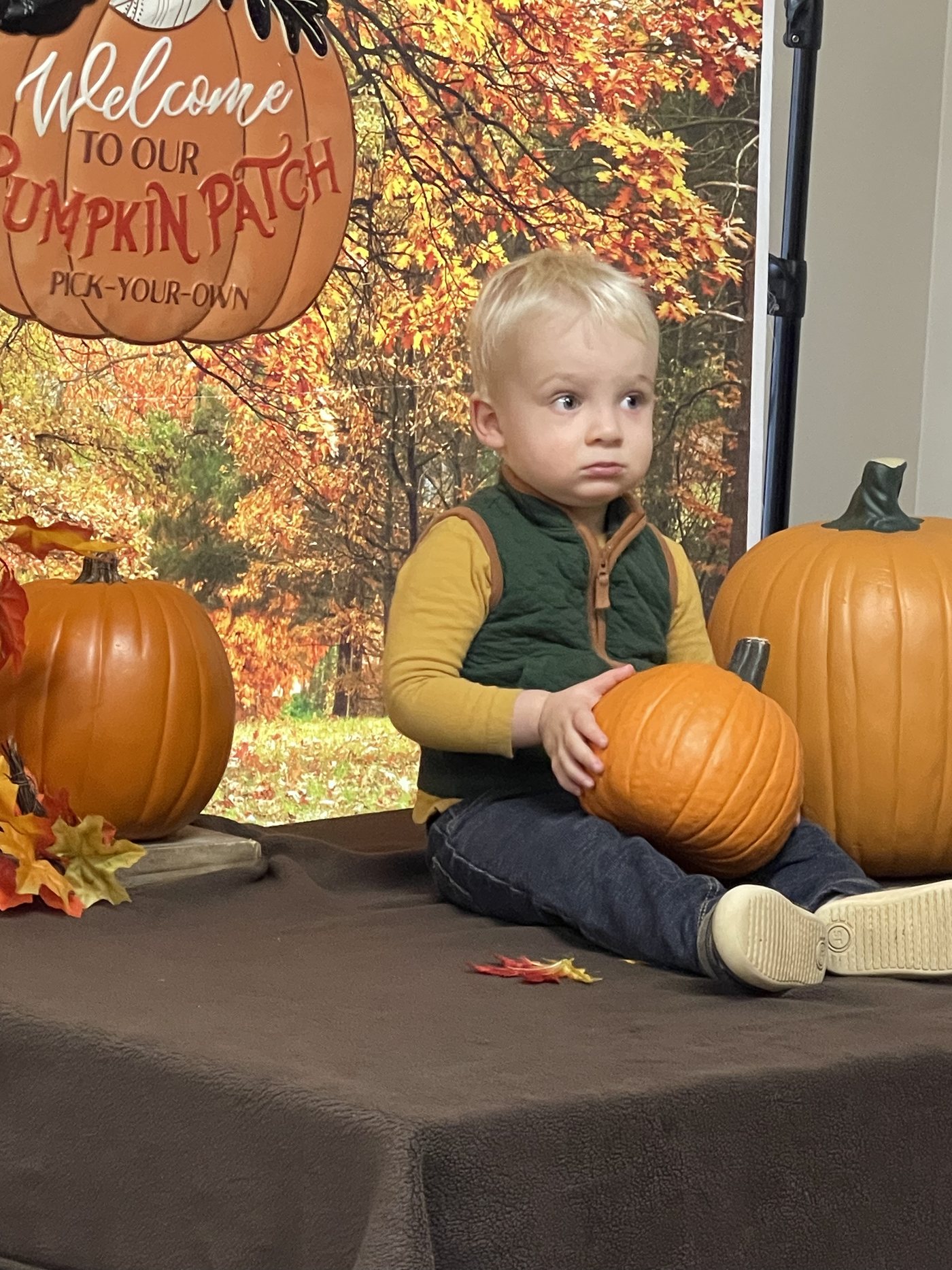 A Seven Oaks toddler sits with pumpkins at a fall pumpkin patch display